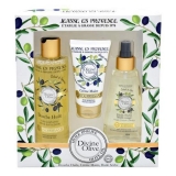 KIT JEANNE DIVINE OLIVE 250ML+DRY OIL+HAND CREAM  