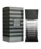 AXIS ELEGANT GREY EDT MAS 100ML                   